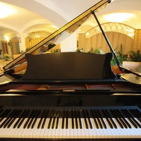 地中海公园温泉酒店 4*