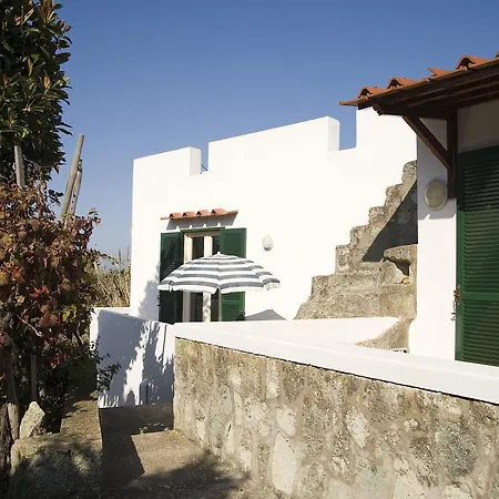 地中海公园温泉酒店 酒店 Forio di Ischia