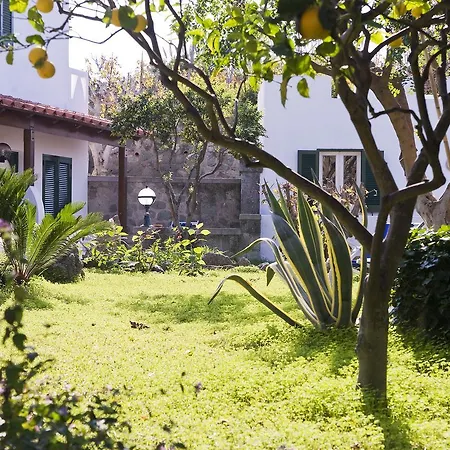 地中海公园温泉酒店 4* Forio di Ischia