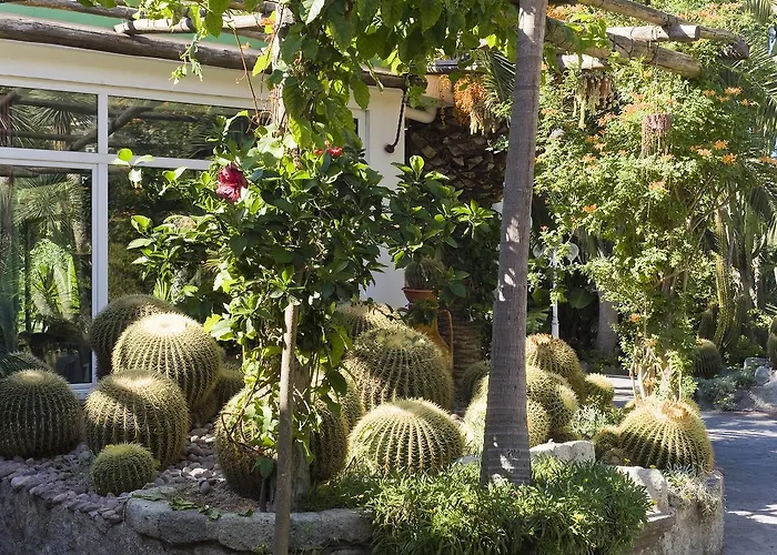 Ξενοδοχείο Park Terme Mediterraneo 4*