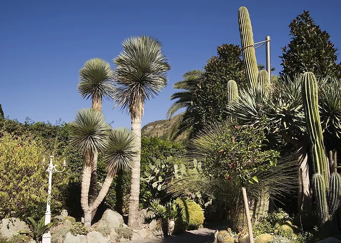 Ξενοδοχείο Park Terme Mediterraneo 4*