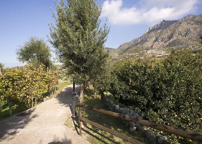 Ξενοδοχείο Park Terme Mediterraneo Forio di Ischia