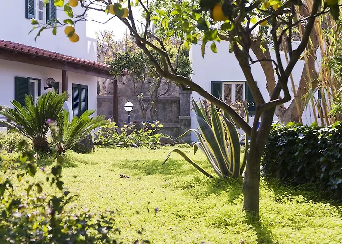 地中海公园温泉酒店 4* Forio di Ischia